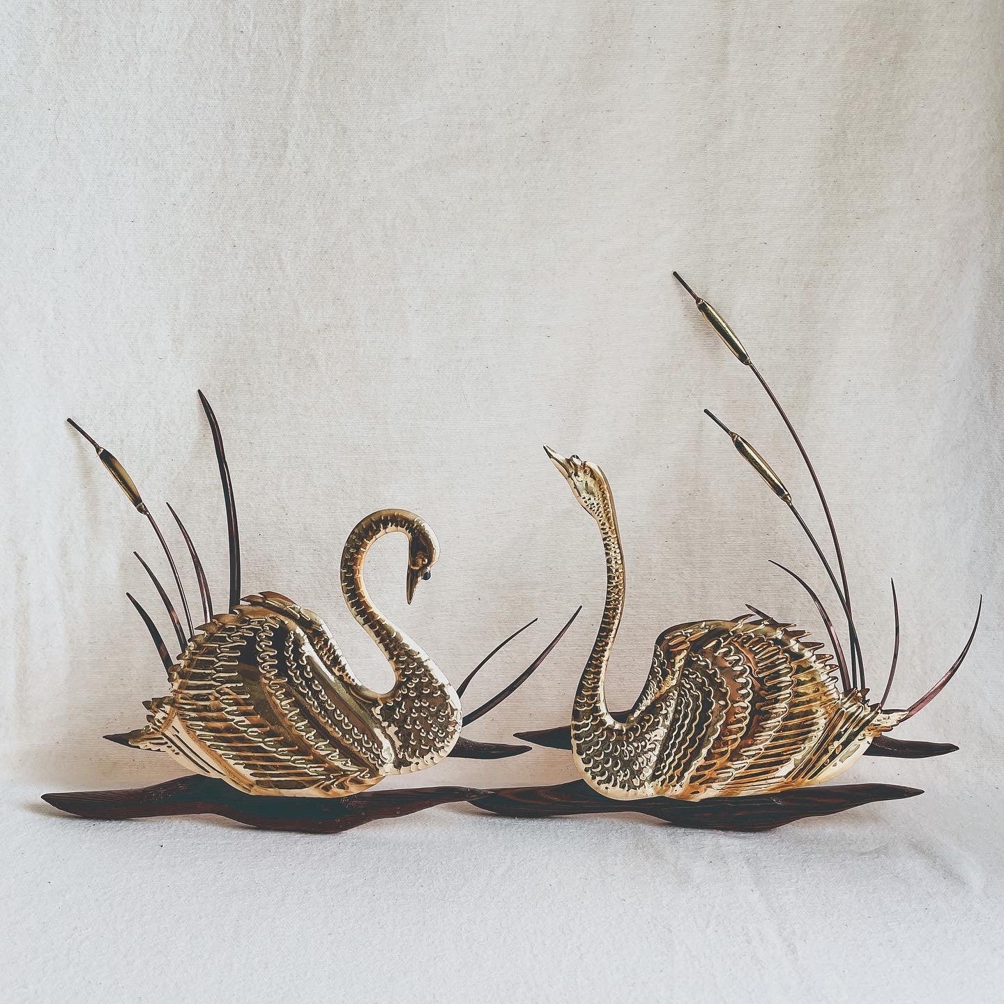 Brass Swan Pair
