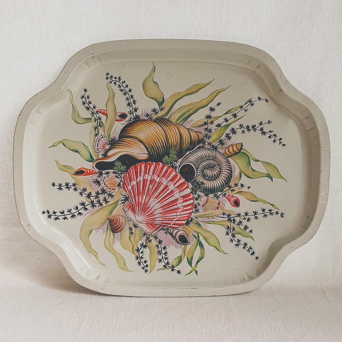 Sea Shell Metal Tray