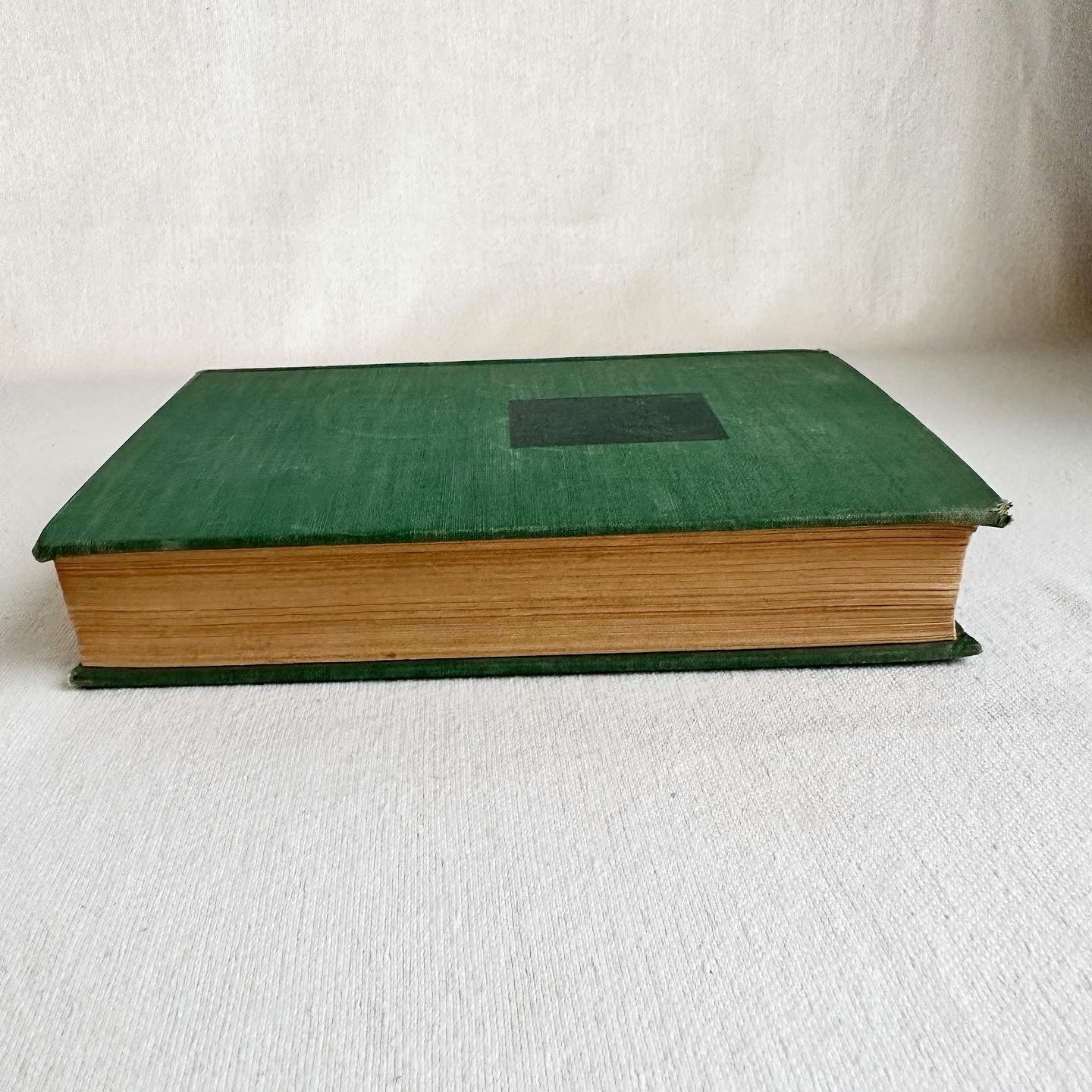 Green Unicorn Book