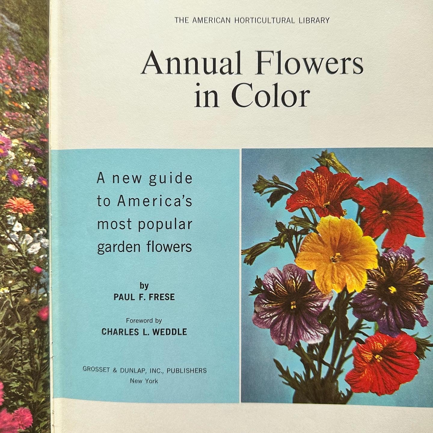 “Annual Flowers in Color” Book
