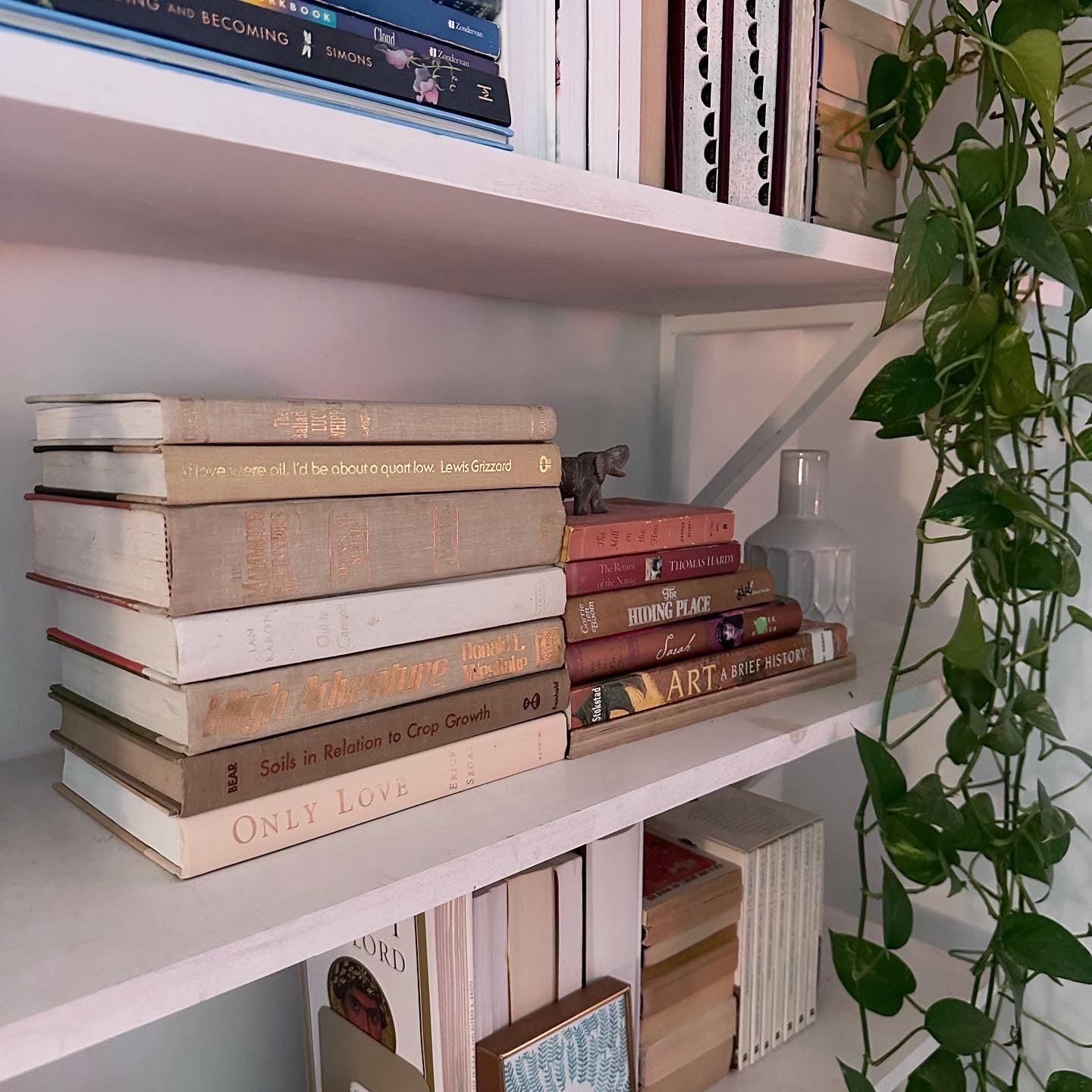 Cream Gold Books