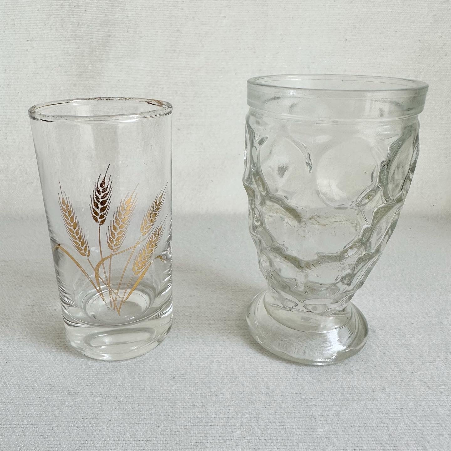 5 Glasses for propagation