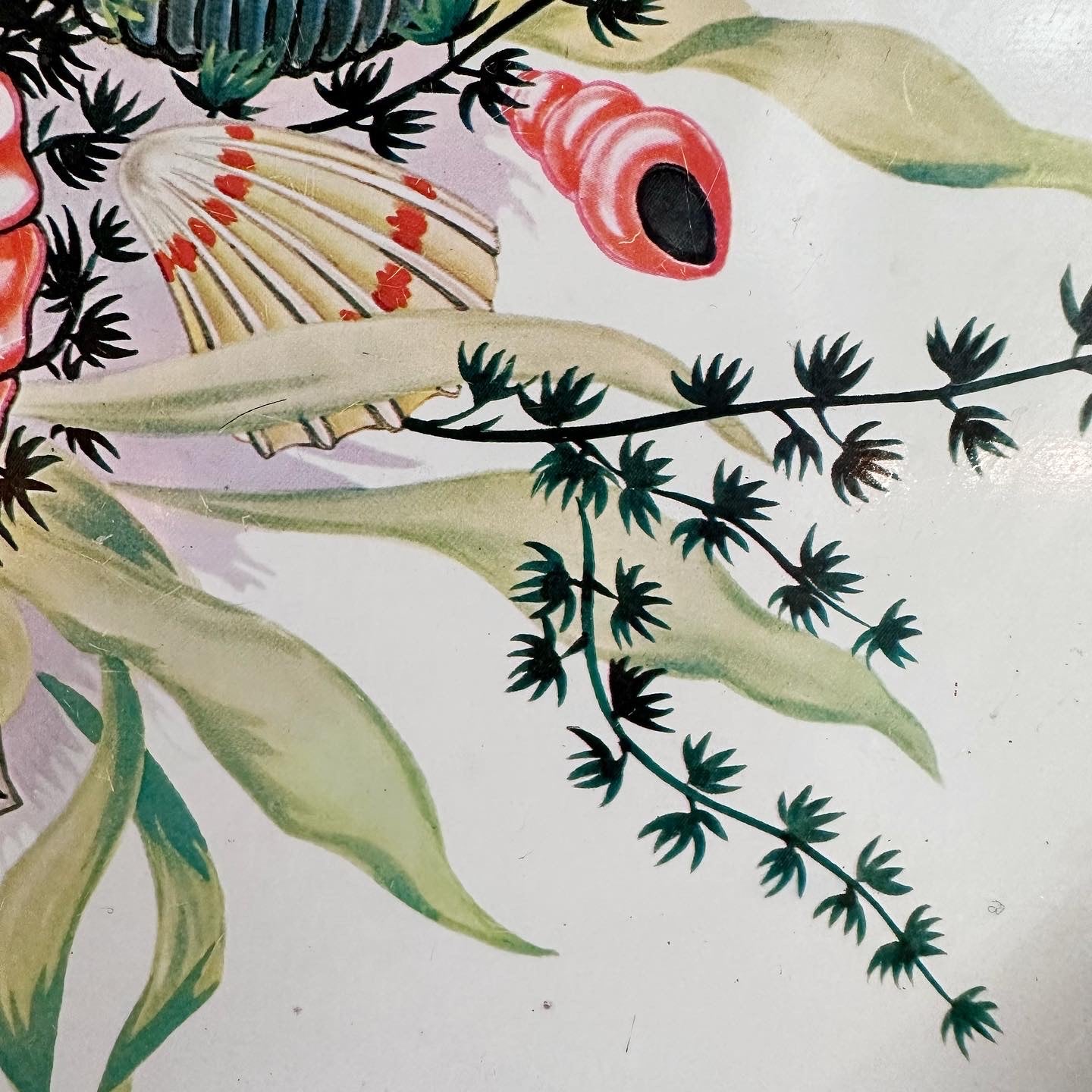 Sea Shell Metal Tray