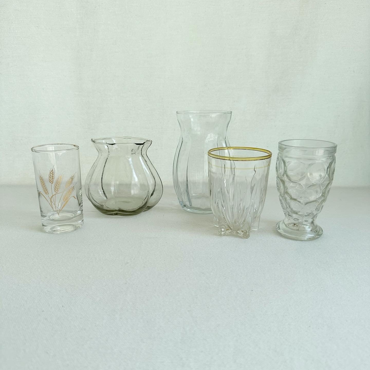 5 Glasses for propagation