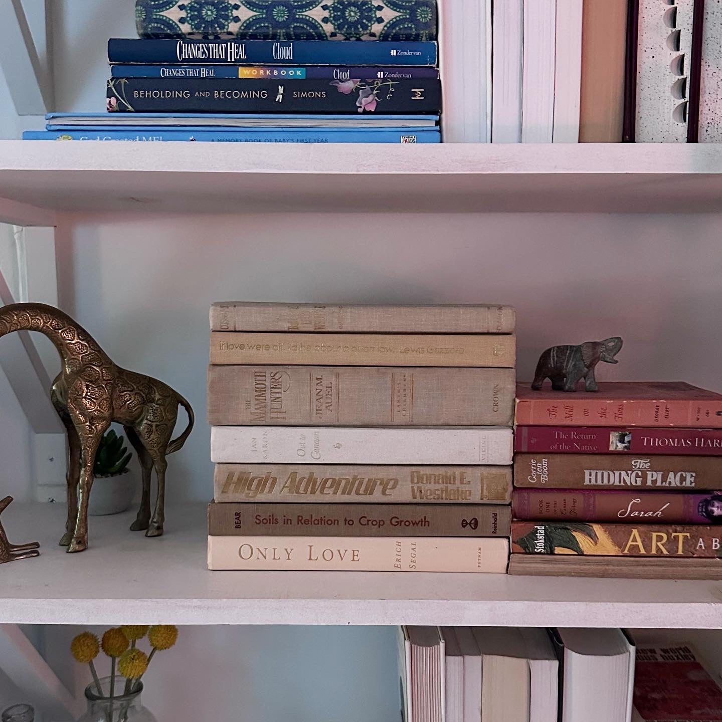 Cream Gold Books