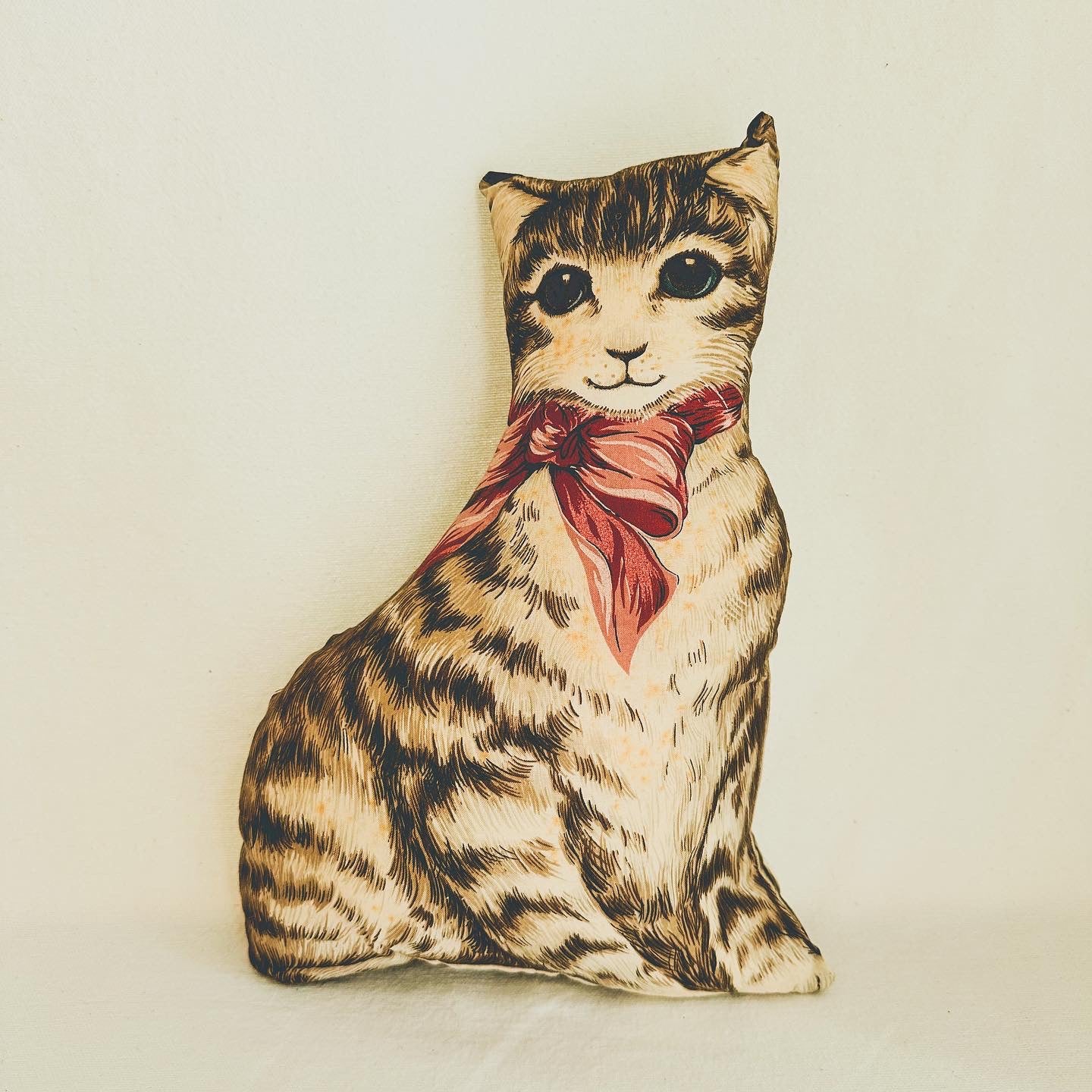 Cat Pillow