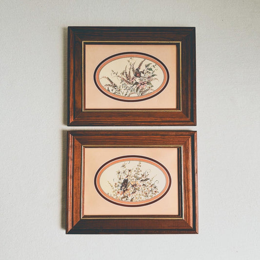 Butterfly Prints