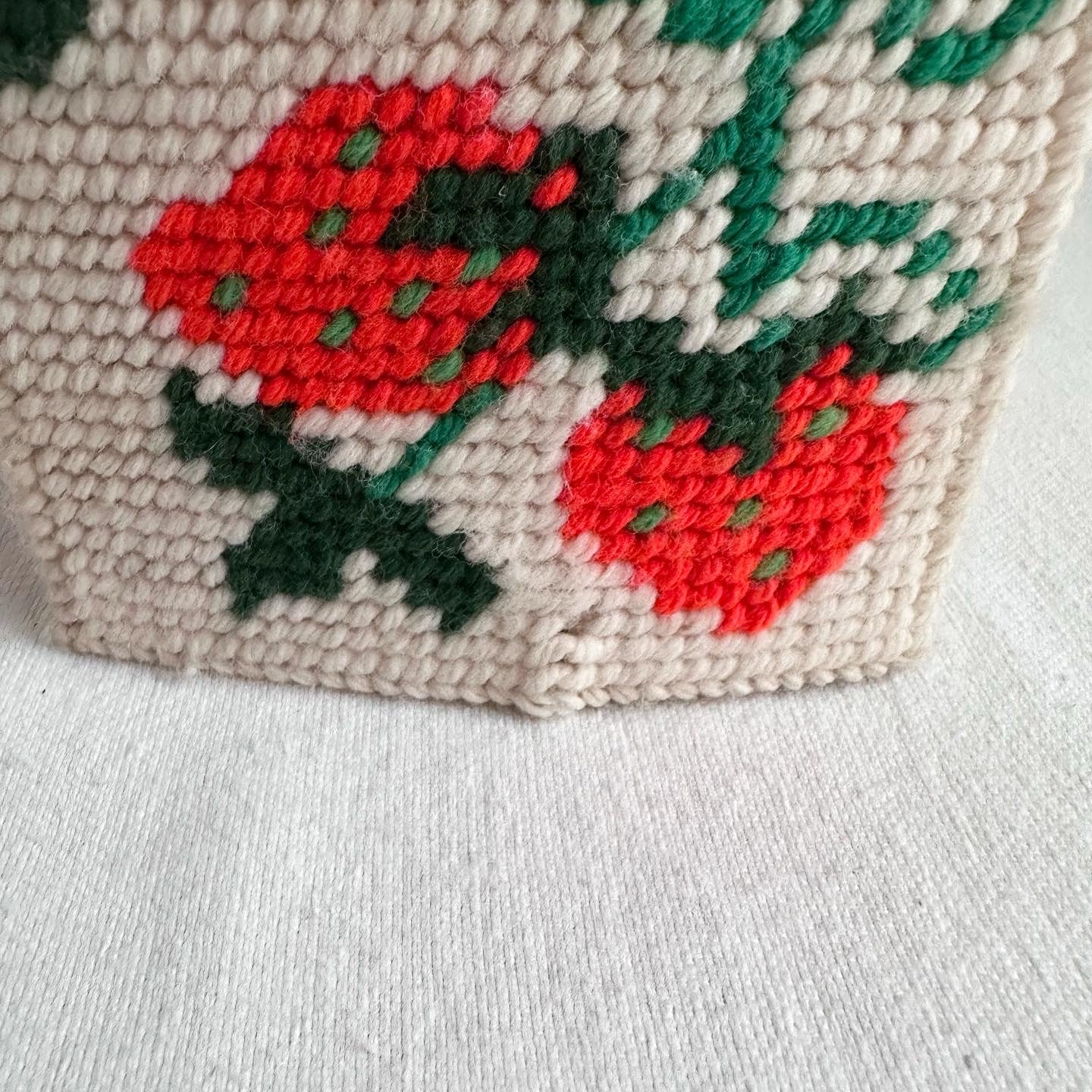 Strawberry Kleenex Box Cover