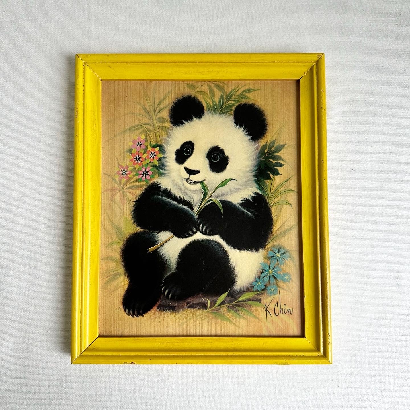 K. Chin Bear Prints