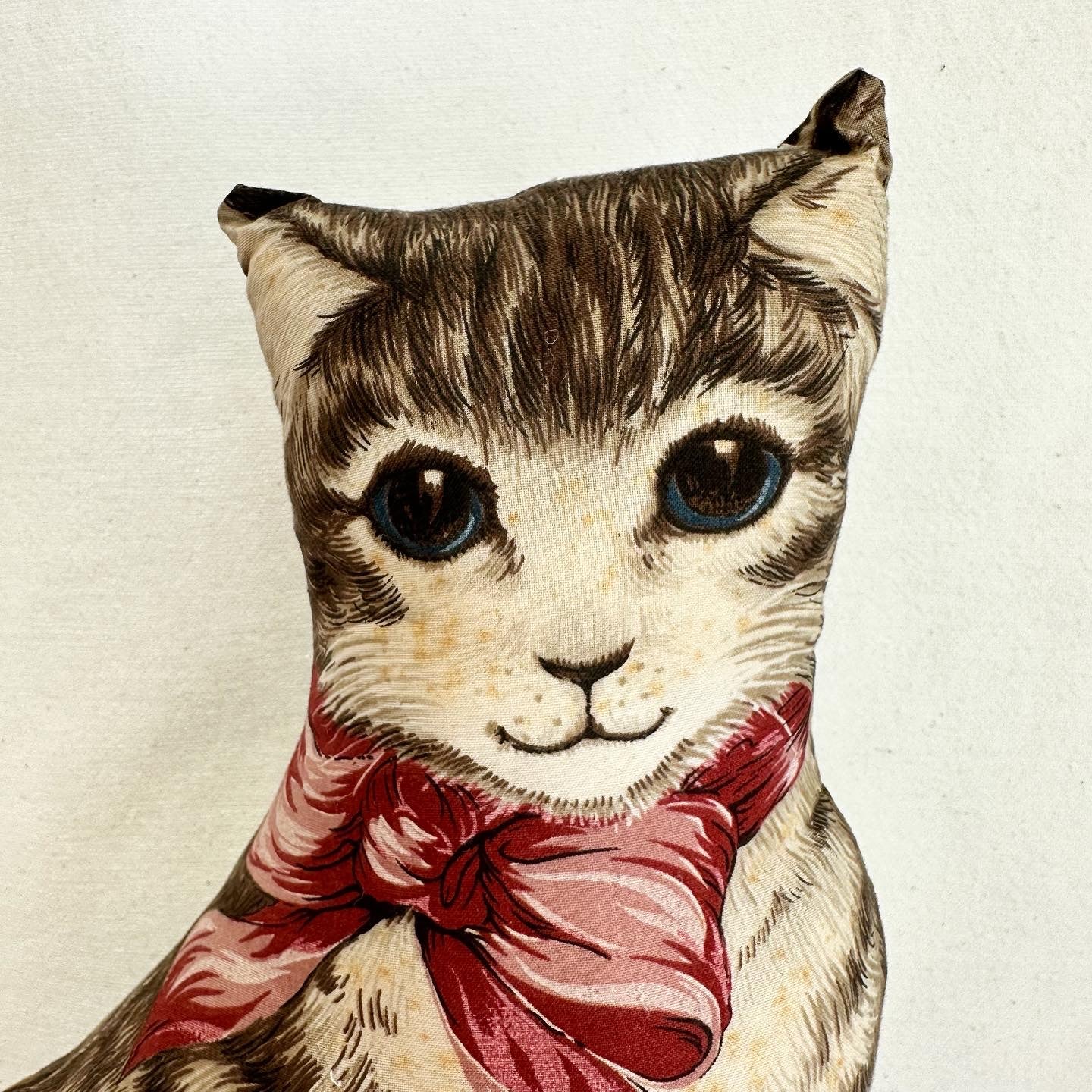 Cat Pillow