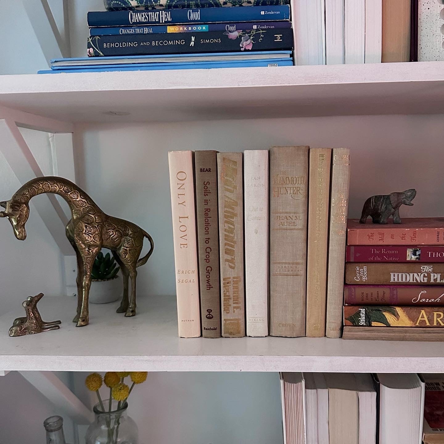 Cream Gold Books