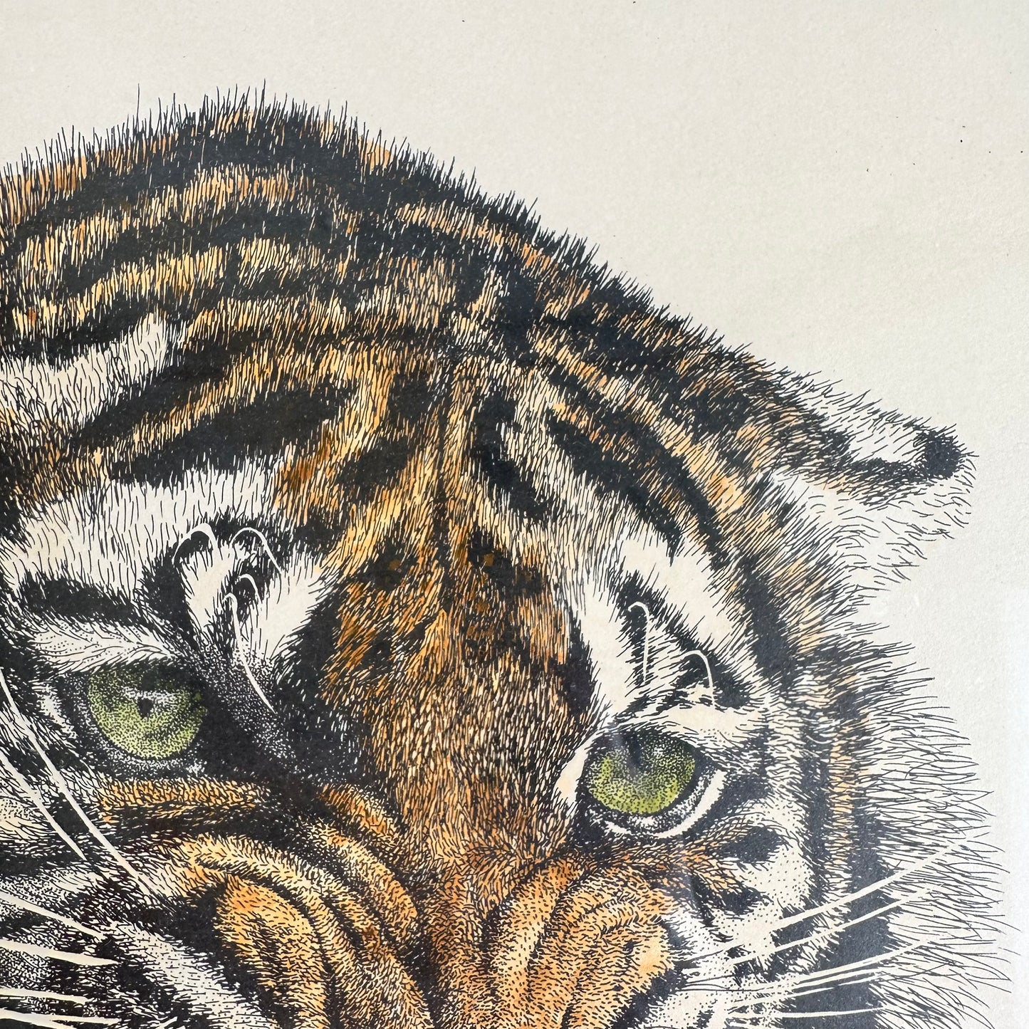 Philip Leonetti Original, signed litho tiger print
