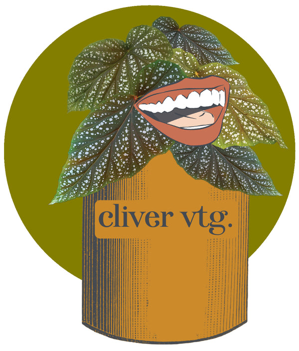 CliverVtg